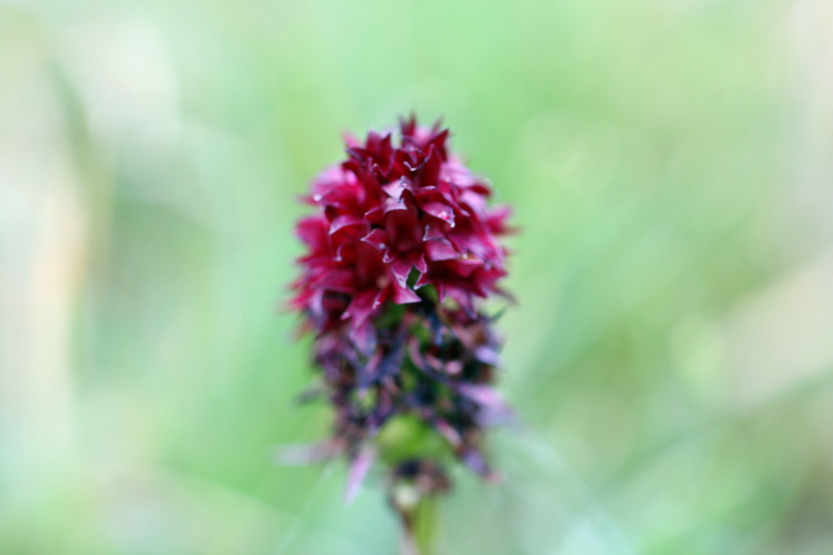 2014_07_29_00006556p_Bildgr��e �ndern