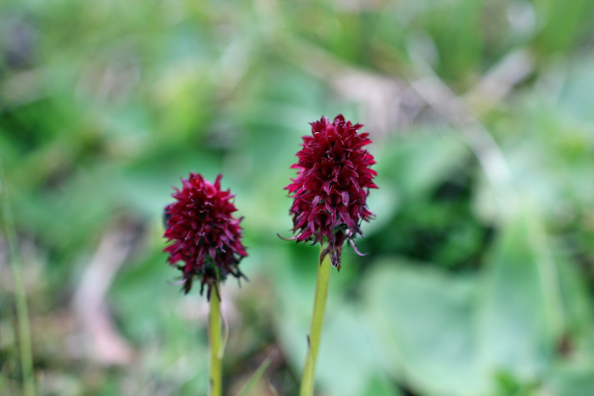 2014_07_29_00006560p_Bildgr��e �ndern