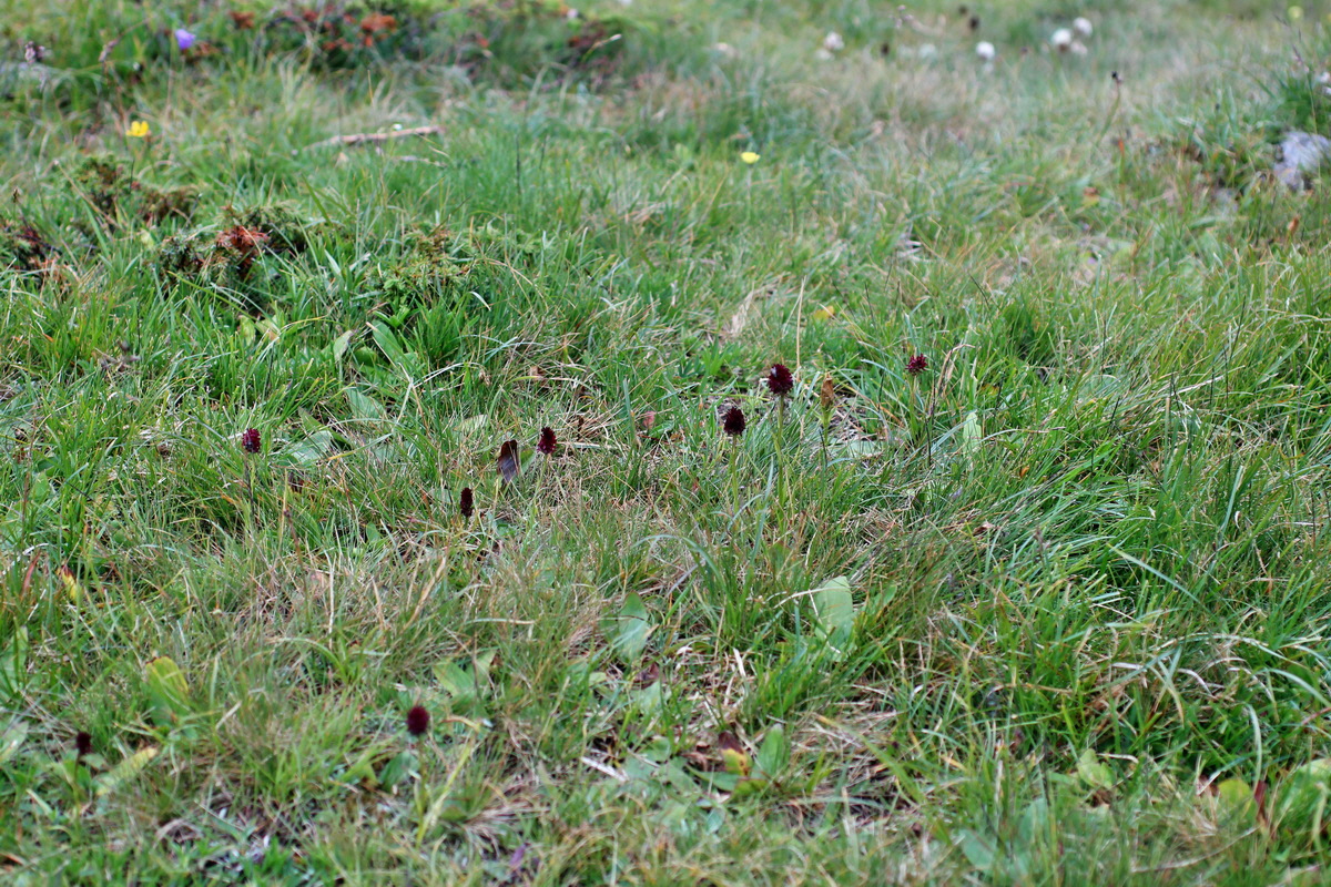 2014_07_29_00006562p_Bildgr��e �ndern