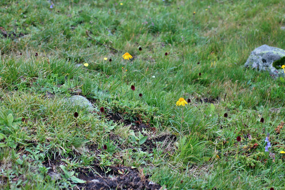 2014_07_29_00006564p_Bildgr��e �ndern