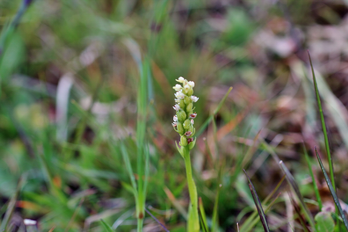 2014_07_29_00006566p_Bildgr��e �ndern