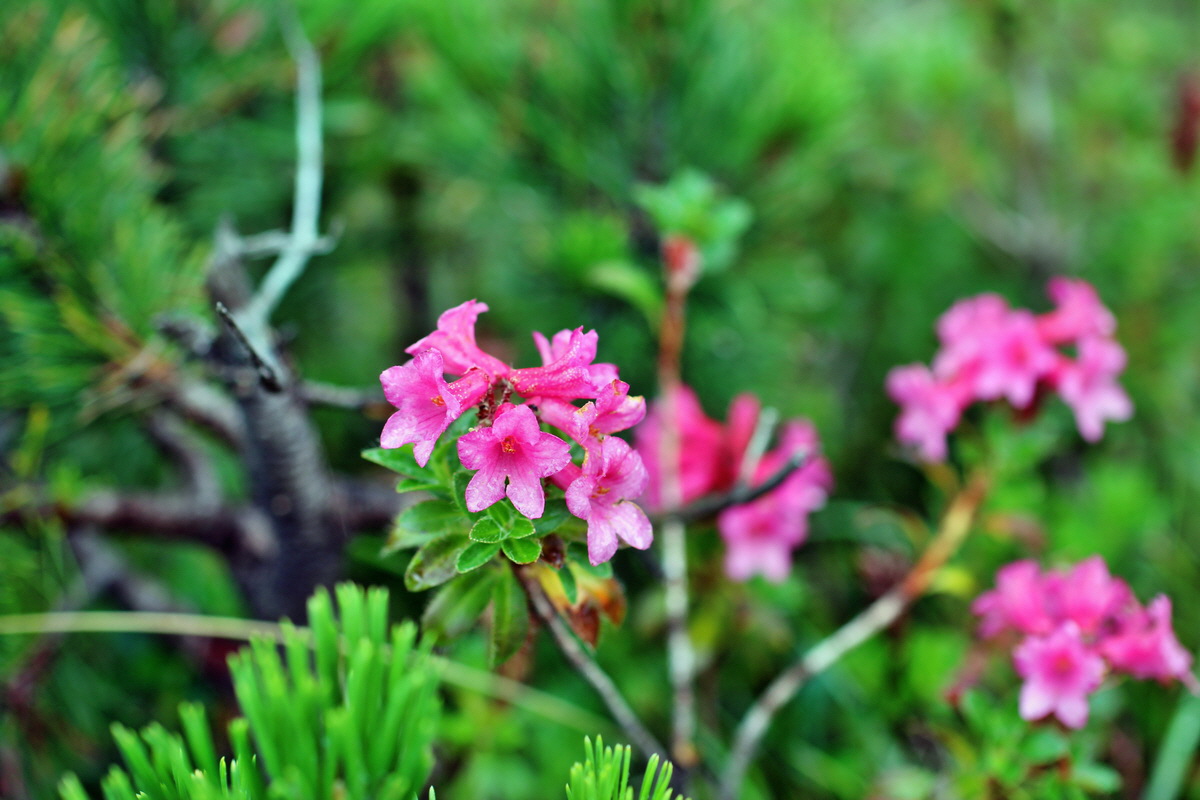 2014_07_30_00006574p_Bildgr��e �ndern