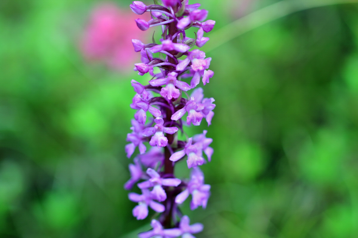 2014_07_30_00006579p_Bildgr��e �ndern