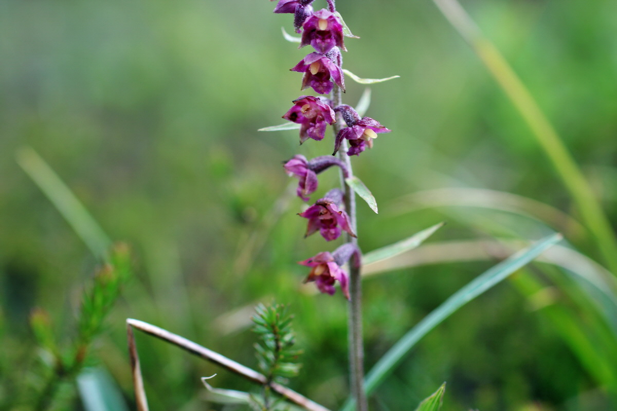 2014_07_30_00006582p_Bildgr��e �ndern