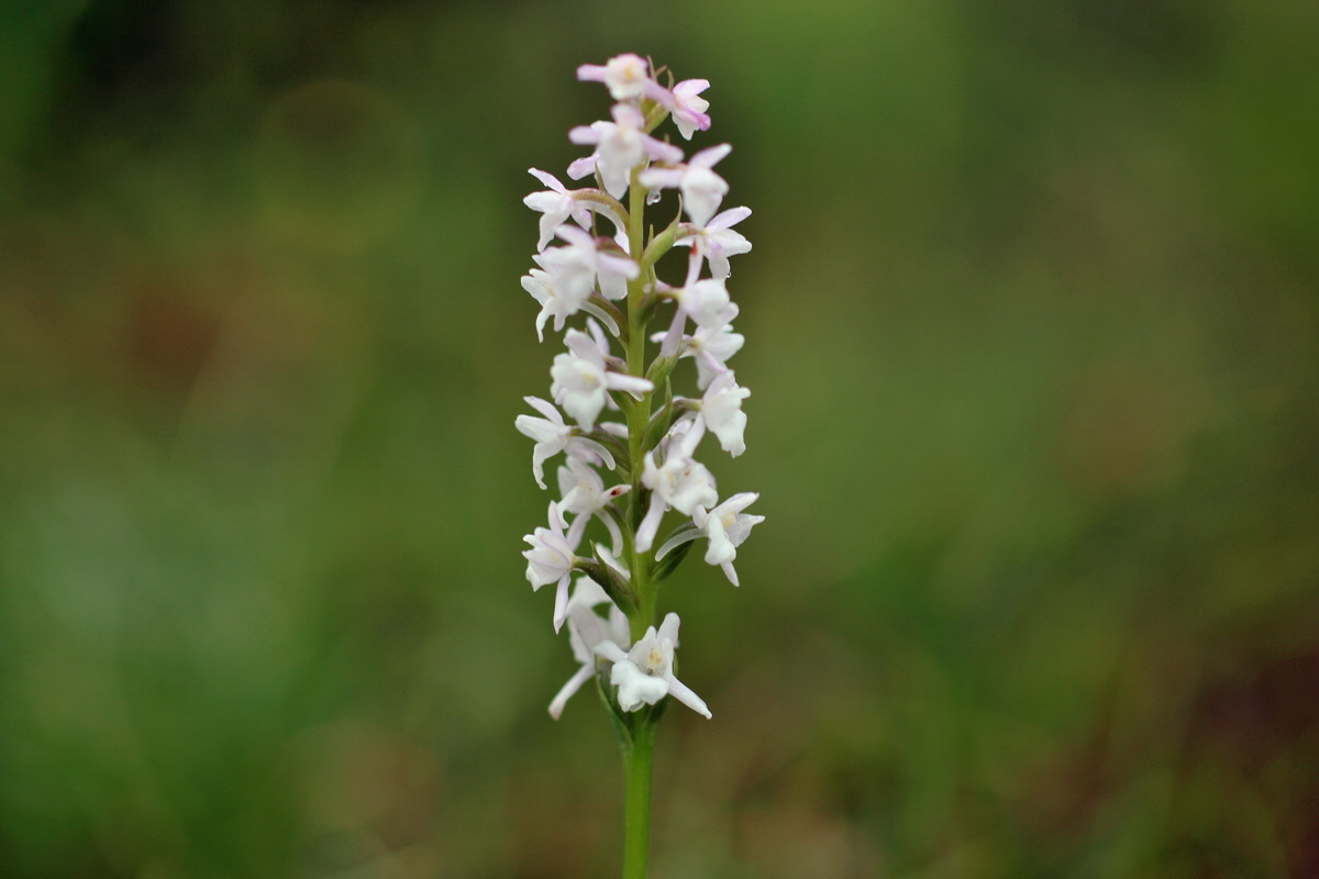 2014_07_30_00006585p_Bildgr��e �ndern