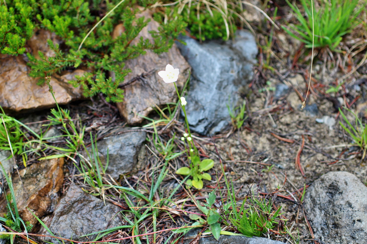 2014_07_30_00006587p_Bildgr��e �ndern