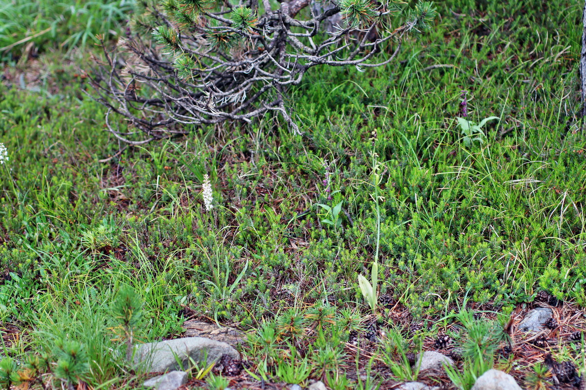 2014_07_30_00006589p_Bildgr��e �ndern