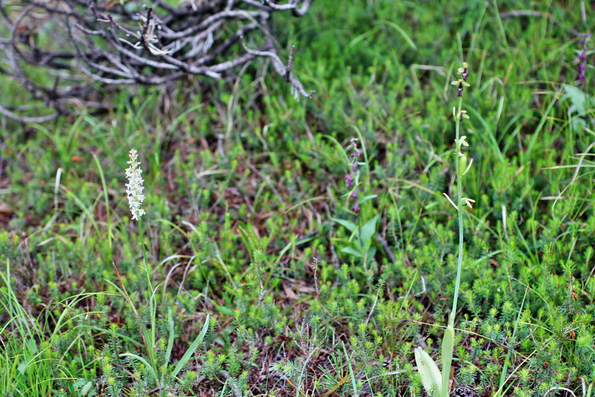 2014_07_30_00006591p_Bildgr��e �ndern