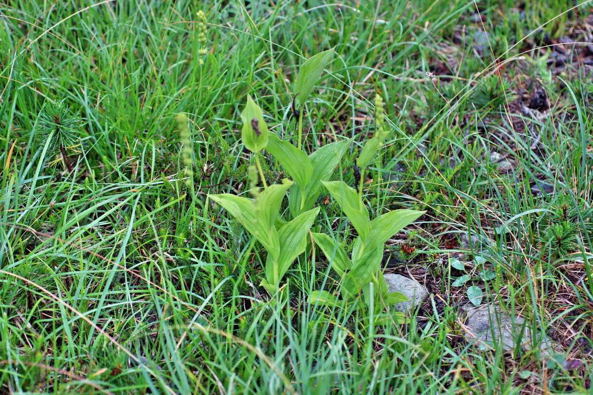 2014_07_30_00006595p_Bildgr��e �ndern