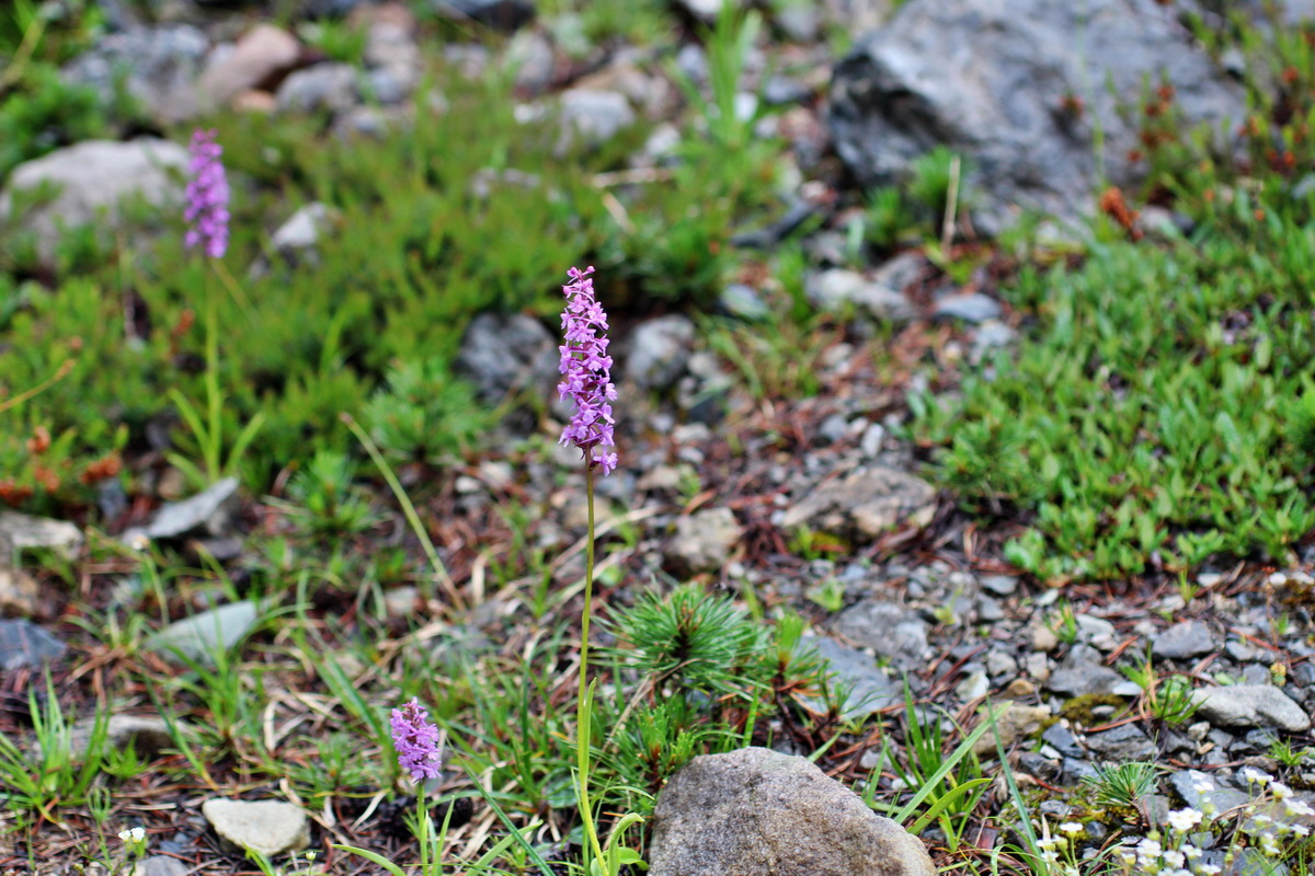 2014_07_30_00006598p_Bildgr��e �ndern