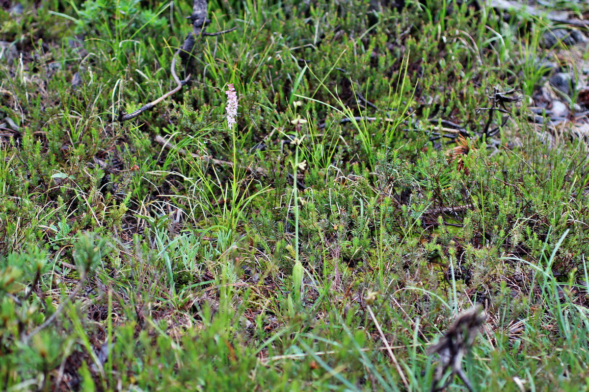 2014_07_30_00006602p_Bildgr��e �ndern