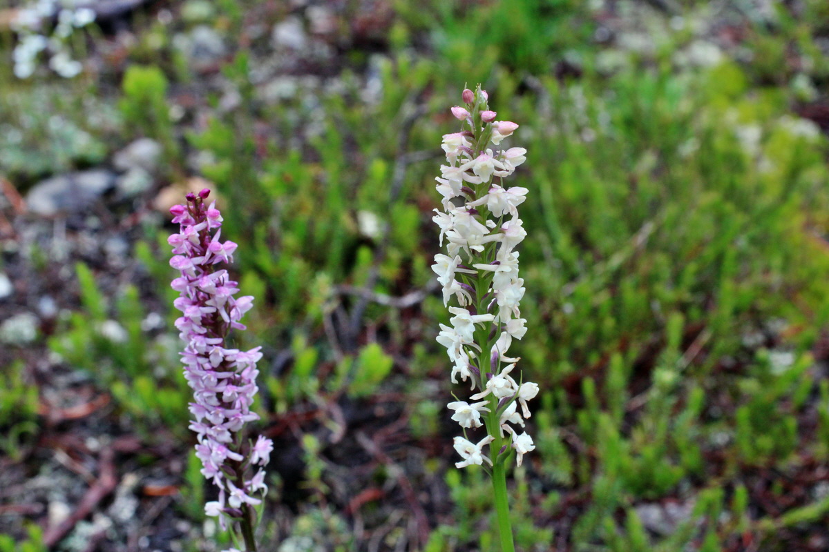 2014_07_30_00006609p_Bildgr��e �ndern