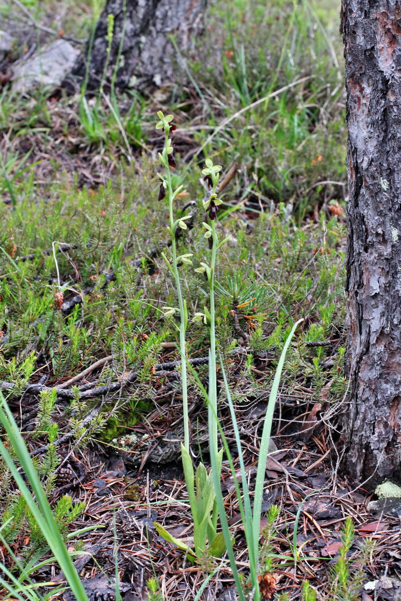 2014_07_30_00006611p_Bildgr��e �ndern