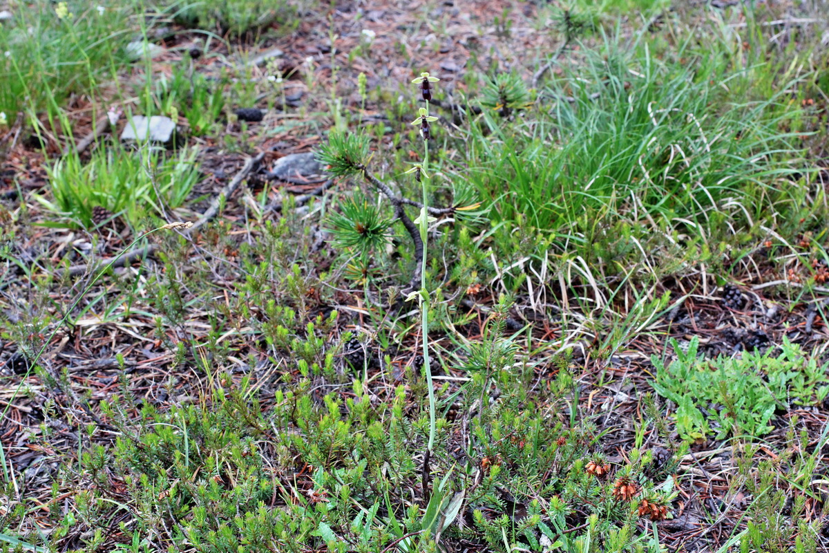 2014_07_30_00006613p_Bildgr��e �ndern