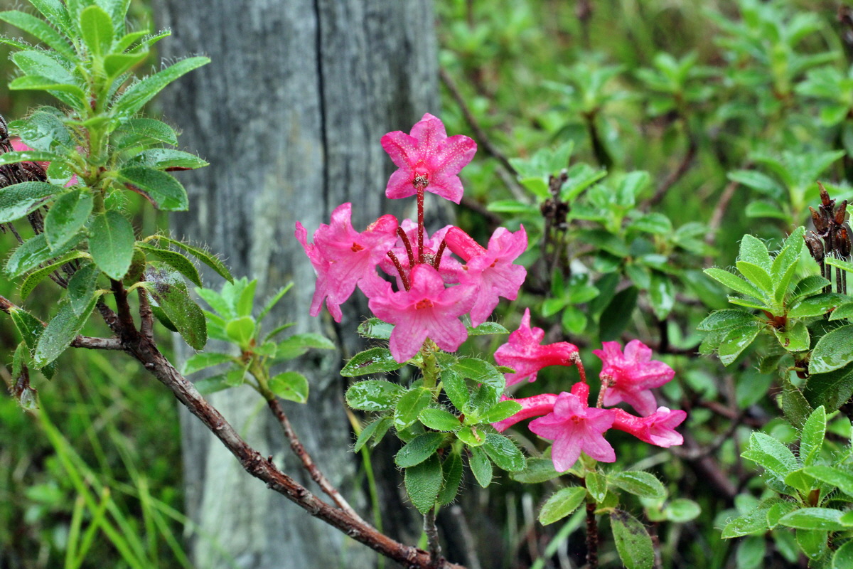 2014_07_30_00006623p_Bildgr��e �ndern