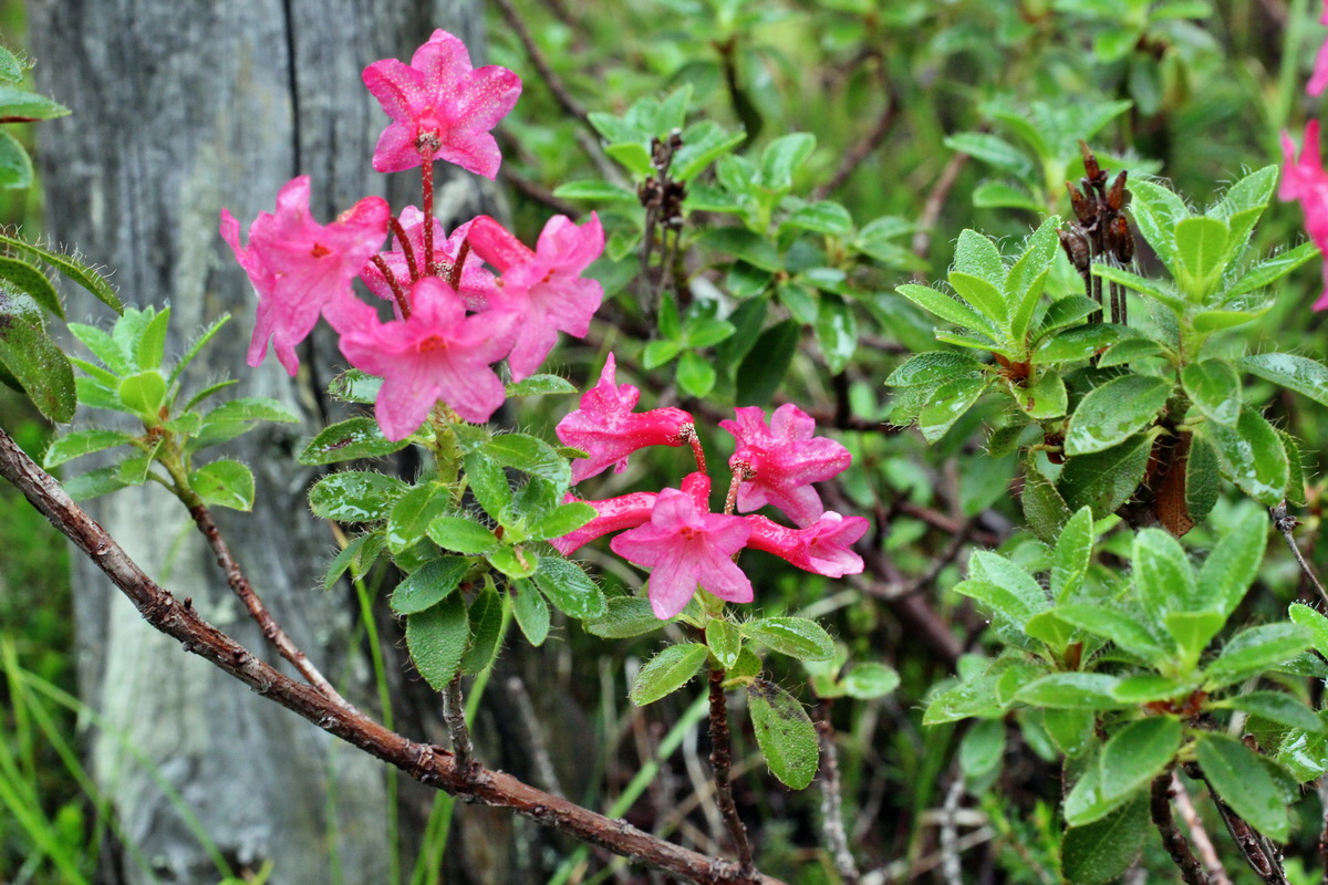 2014_07_30_00006625p_Bildgr��e �ndern