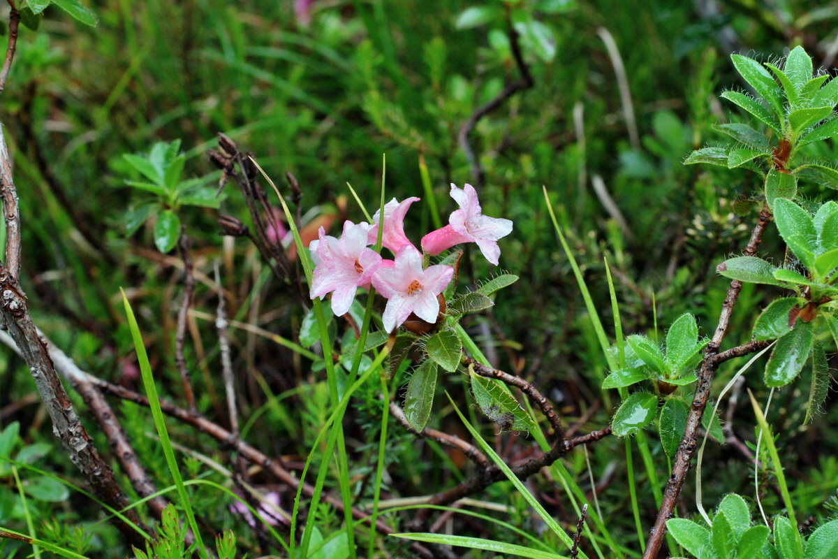 2014_07_30_00006628p_Bildgr��e �ndern