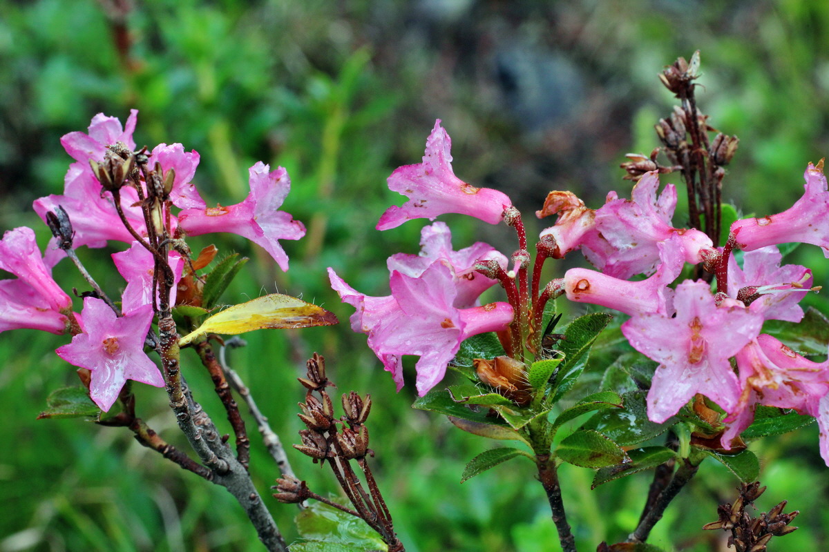 2014_07_30_00006629p_Bildgr��e �ndern