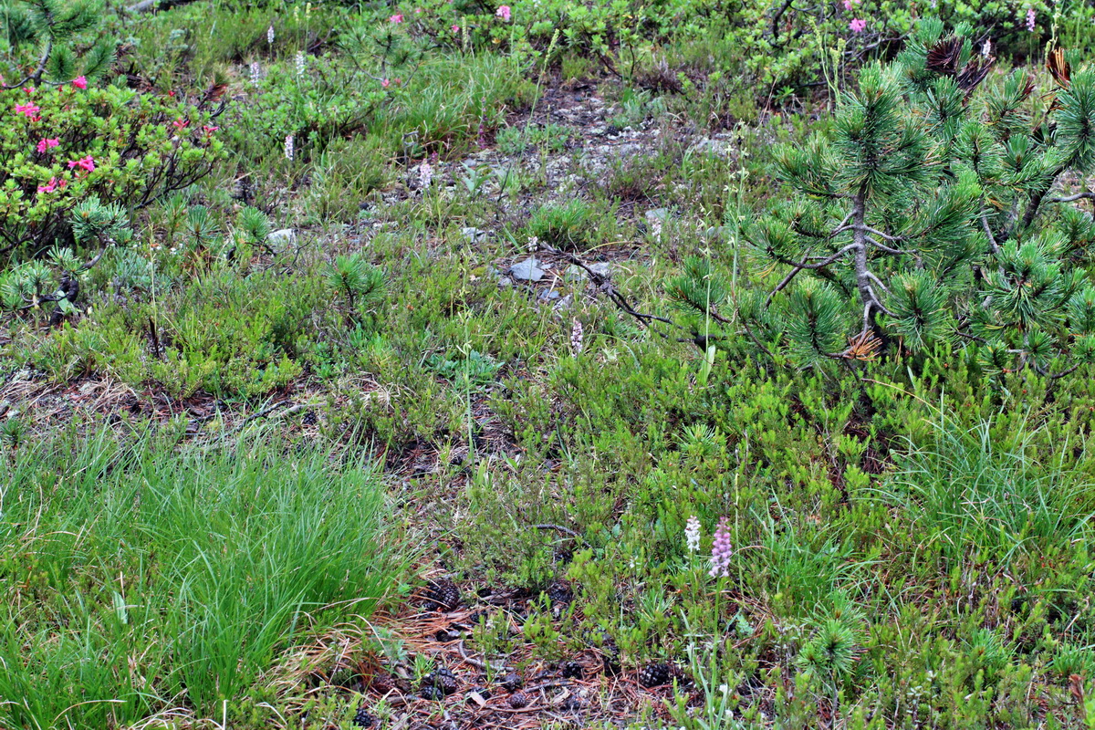 2014_07_30_00006632p_Bildgr��e �ndern