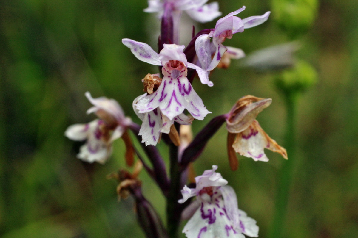 2014_07_30_00006641p_Bildgr��e �ndern