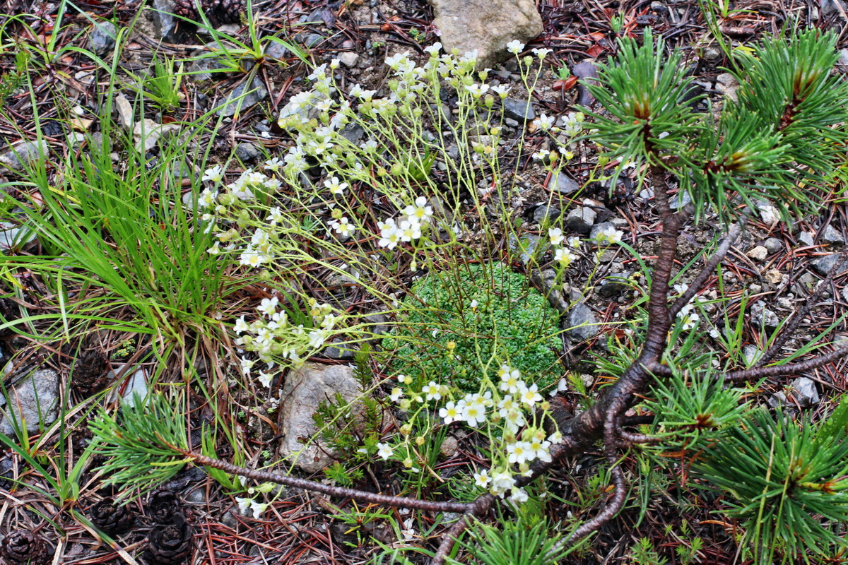 2014_07_30_00006642p_Bildgr��e �ndern