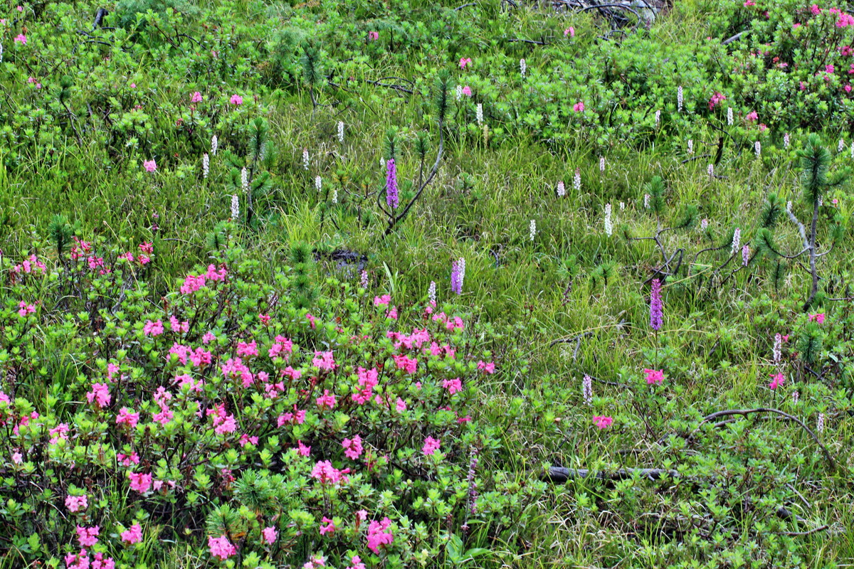 2014_07_30_00006647p_Bildgr��e �ndern