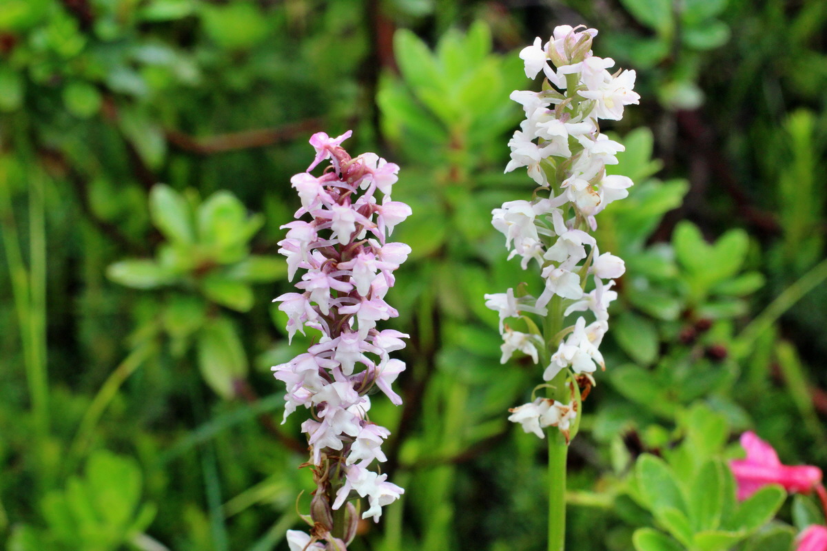 2014_07_30_00006648p_Bildgr��e �ndern