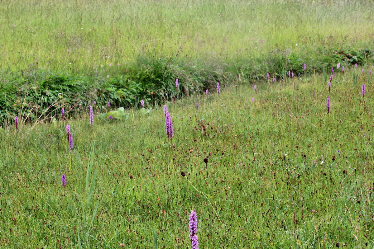 2014_07_30_00006660p_Bildgr��e �ndern