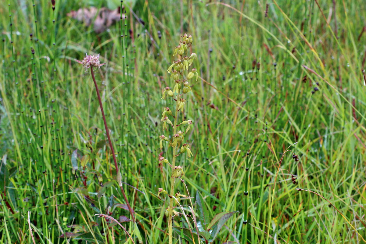 2014_07_30_00006665p_Bildgr��e �ndern