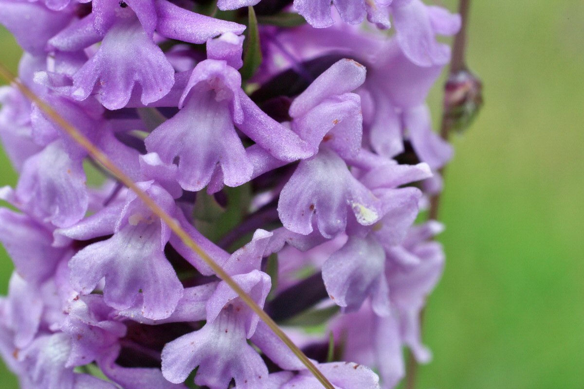 2014_07_30_00006676p_Bildgr��e �ndern