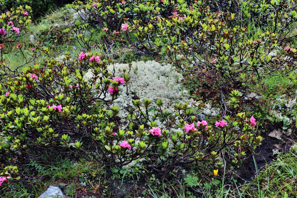 2014_07_30_00006683p_Bildgr��e �ndern