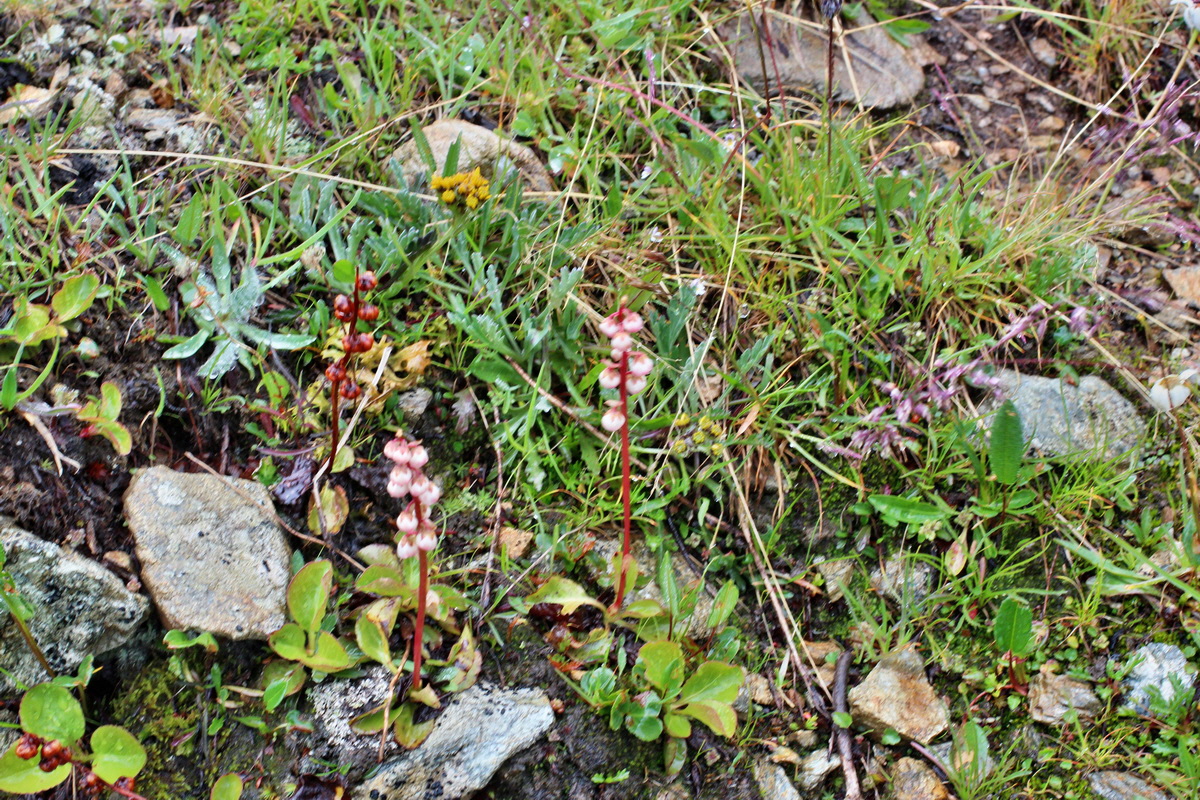 2014_07_30_00006686p_Bildgr��e �ndern