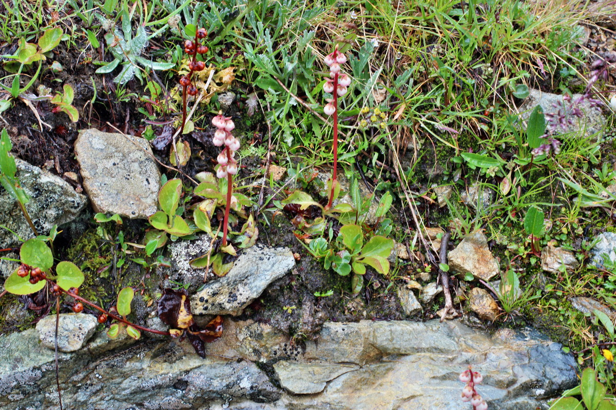 2014_07_30_00006688p_Bildgr��e �ndern