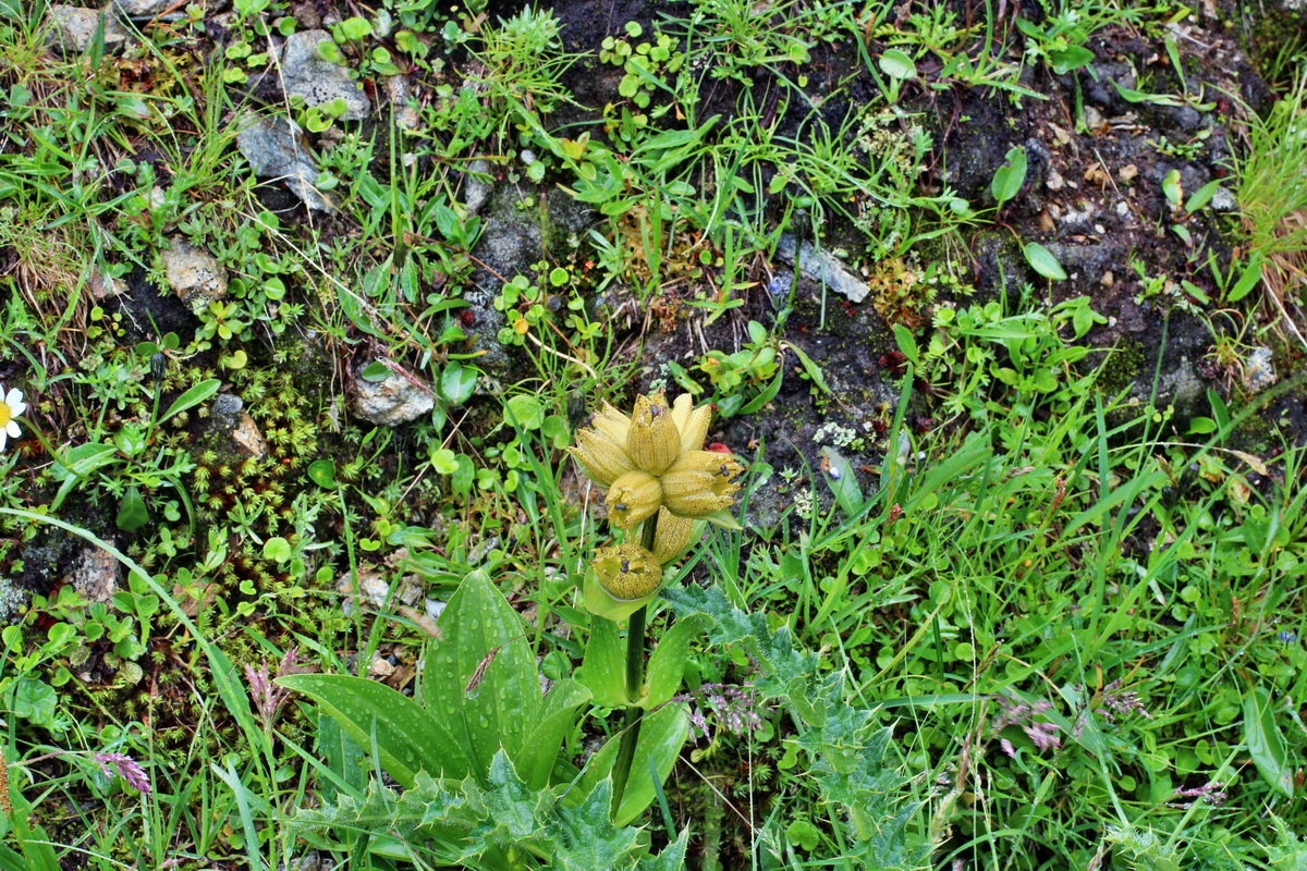 2014_07_30_00006689p_Bildgr��e �ndern