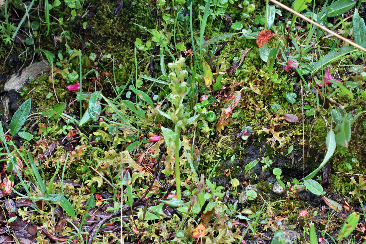 2014_07_30_00006701p_Bildgr��e �ndern