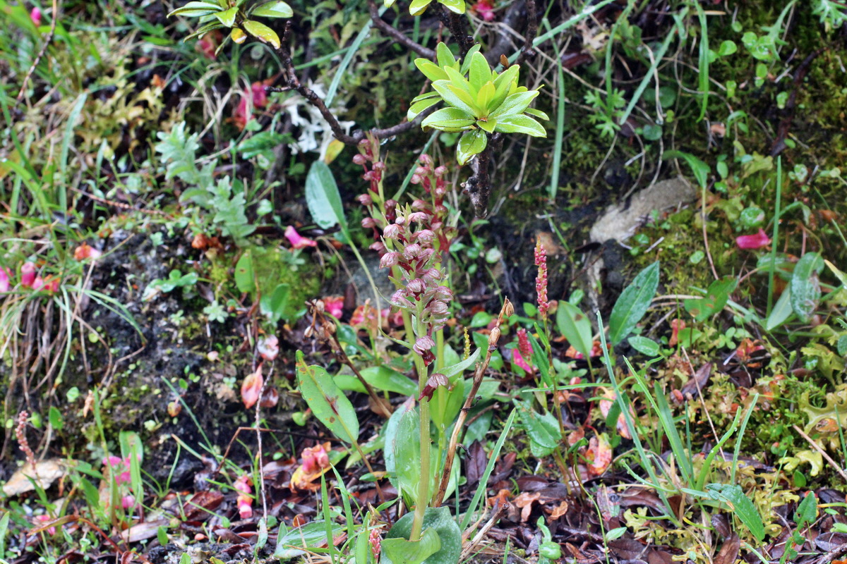 2014_07_30_00006704p_Bildgr��e �ndern