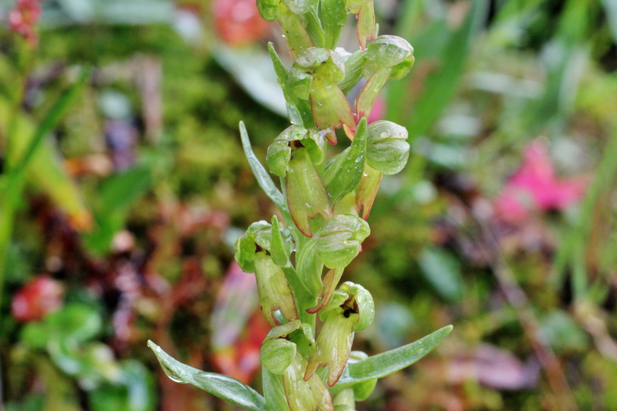 2014_07_30_00006710p_Bildgr��e �ndern