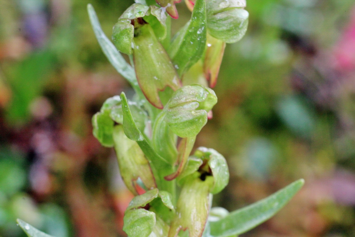 2014_07_30_00006713p_Bildgr��e �ndern