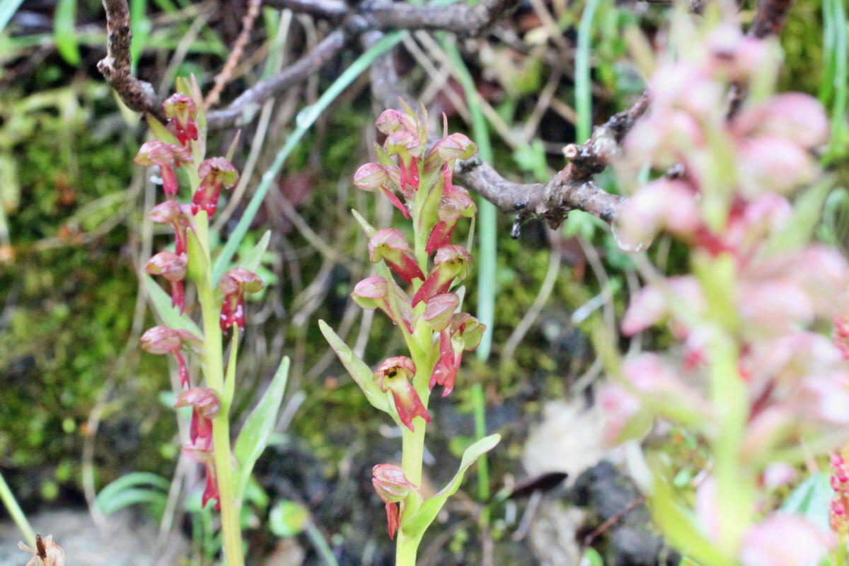 2014_07_30_00006715p_Bildgr��e �ndern