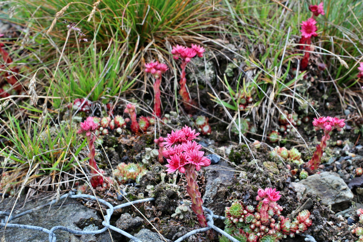 2014_07_30_00006720p_Bildgr��e �ndern