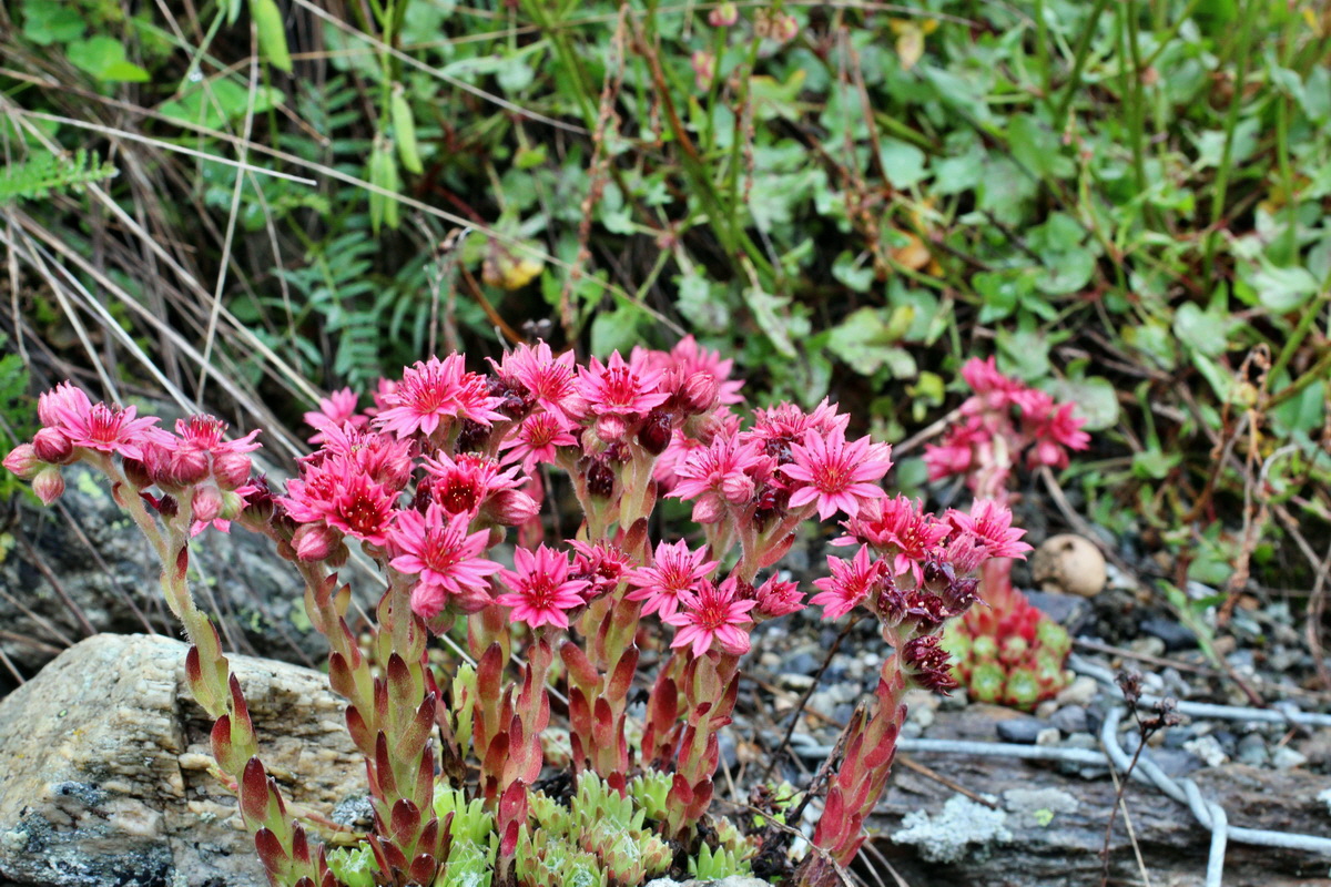 2014_07_30_00006721p_Bildgr��e �ndern