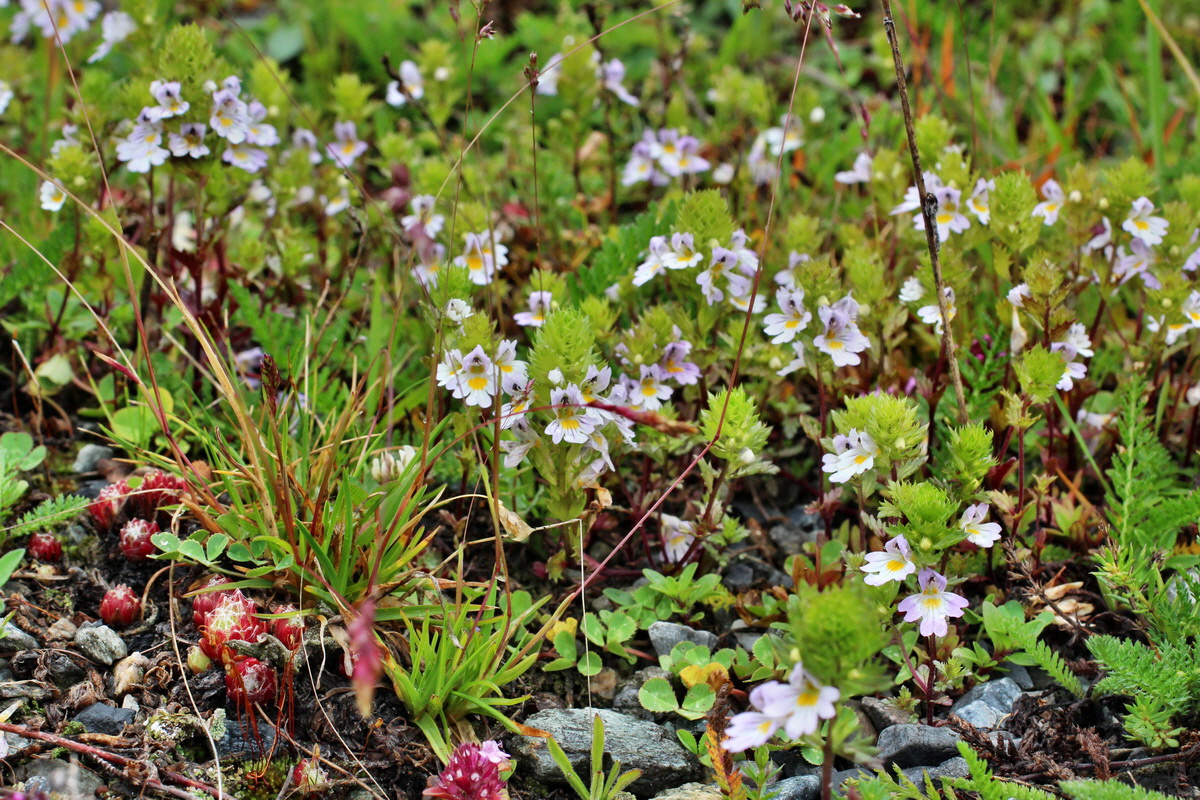 2014_07_30_00006725p_Bildgr��e �ndern