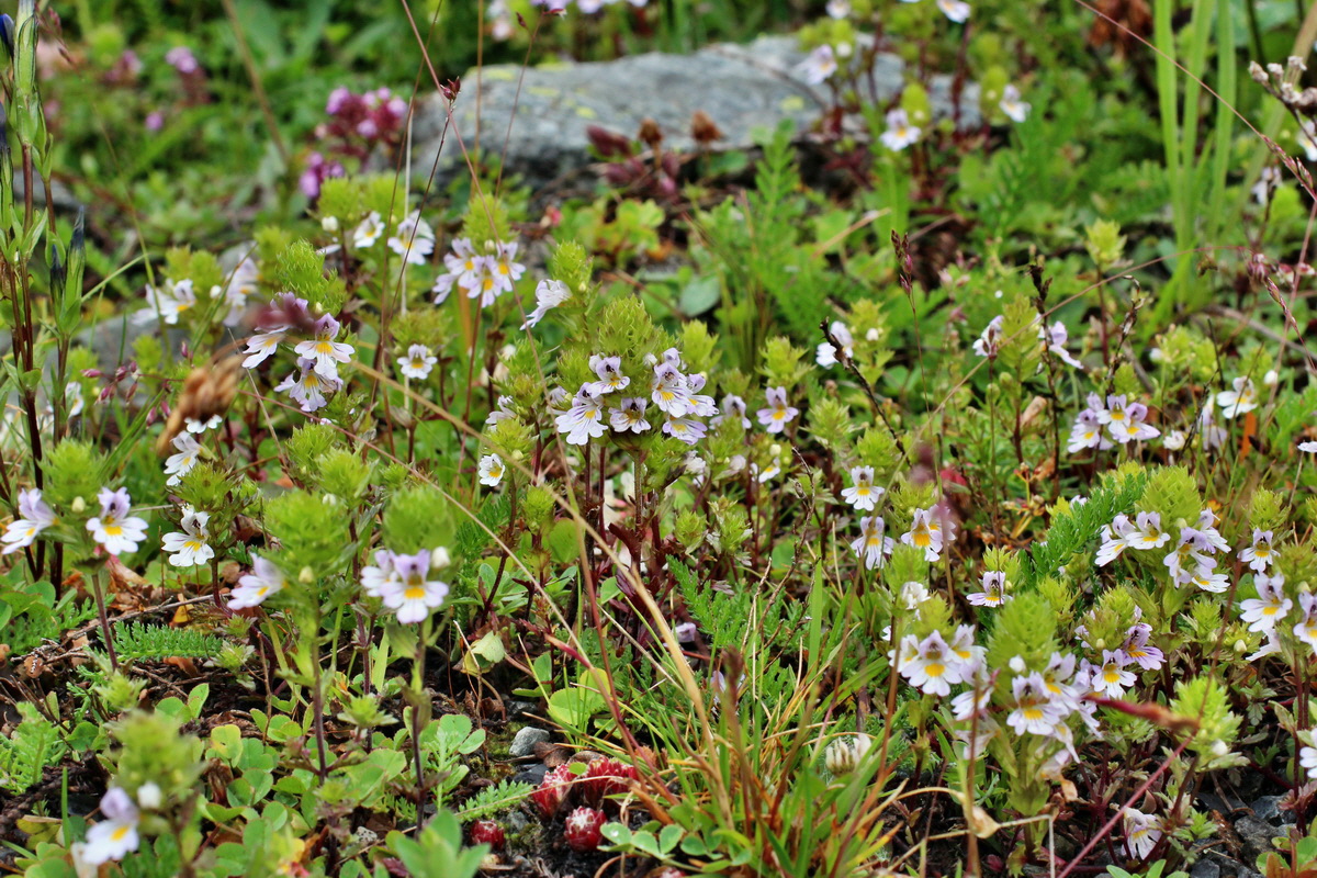 2014_07_30_00006727p_Bildgr��e �ndern