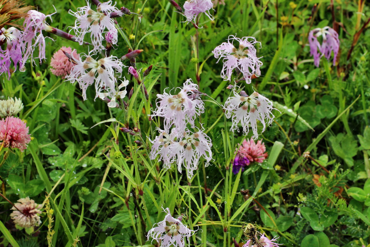 2014_07_30_00006729p_Bildgr��e �ndern