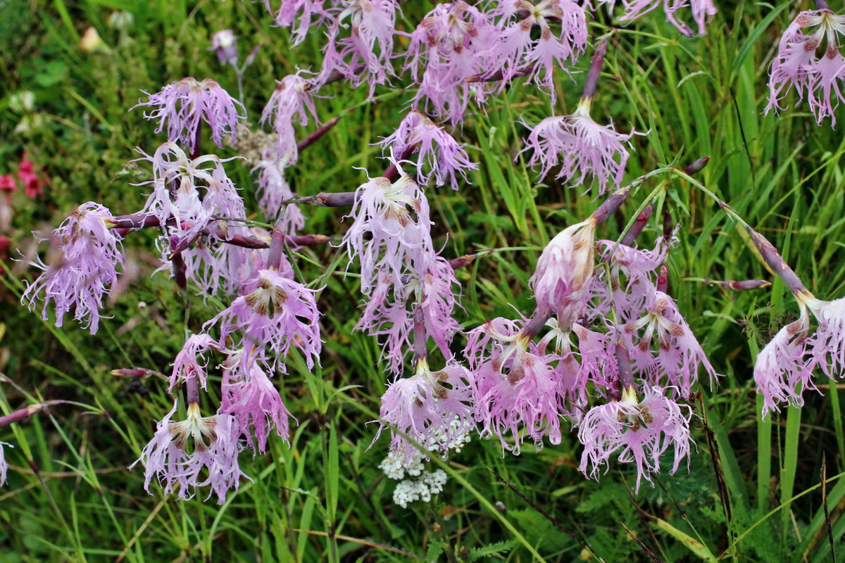 2014_07_30_00006737p_Bildgr��e �ndern