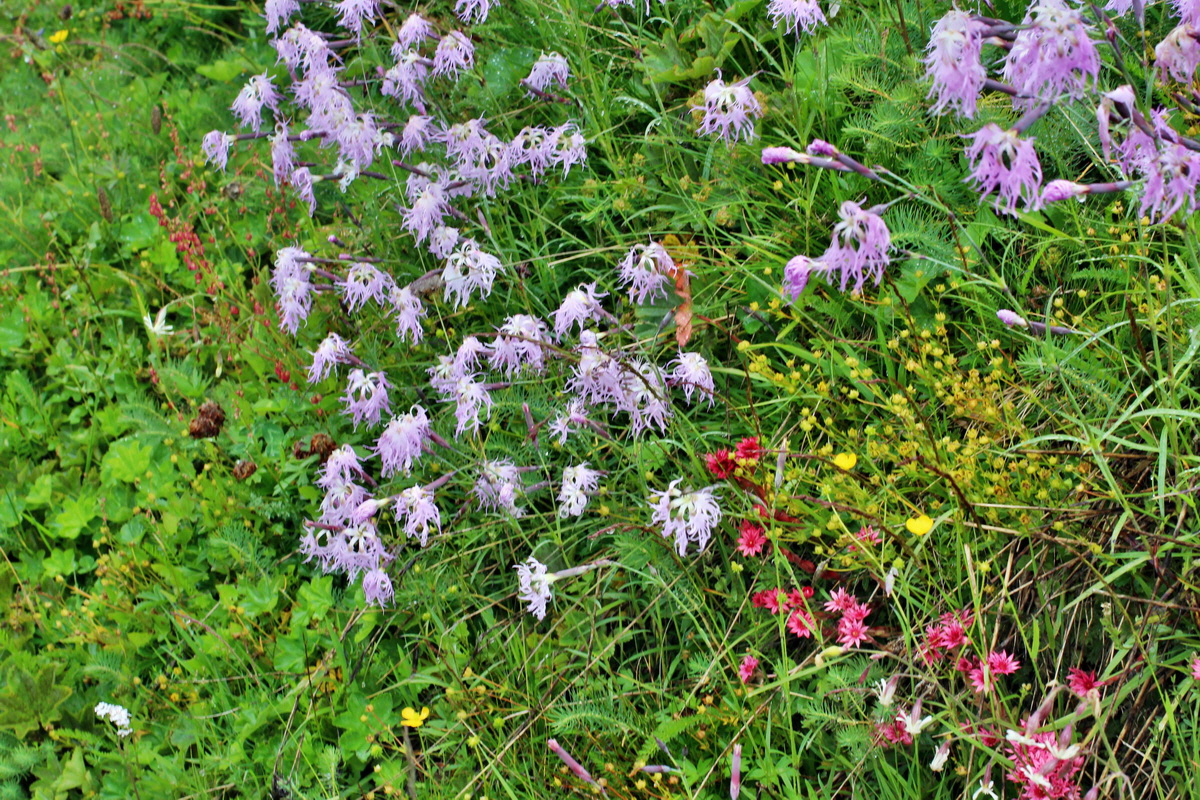 2014_07_30_00006739p_Bildgr��e �ndern