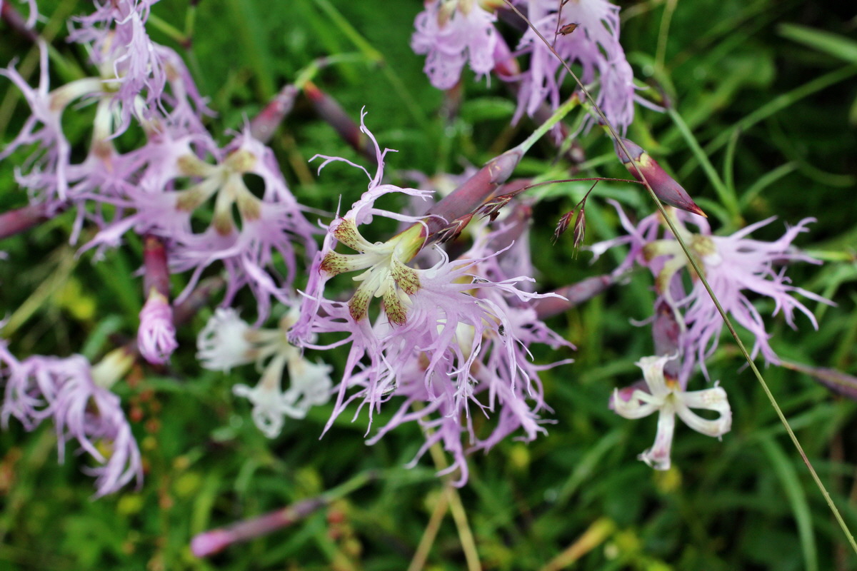 2014_07_30_00006740p_Bildgr��e �ndern