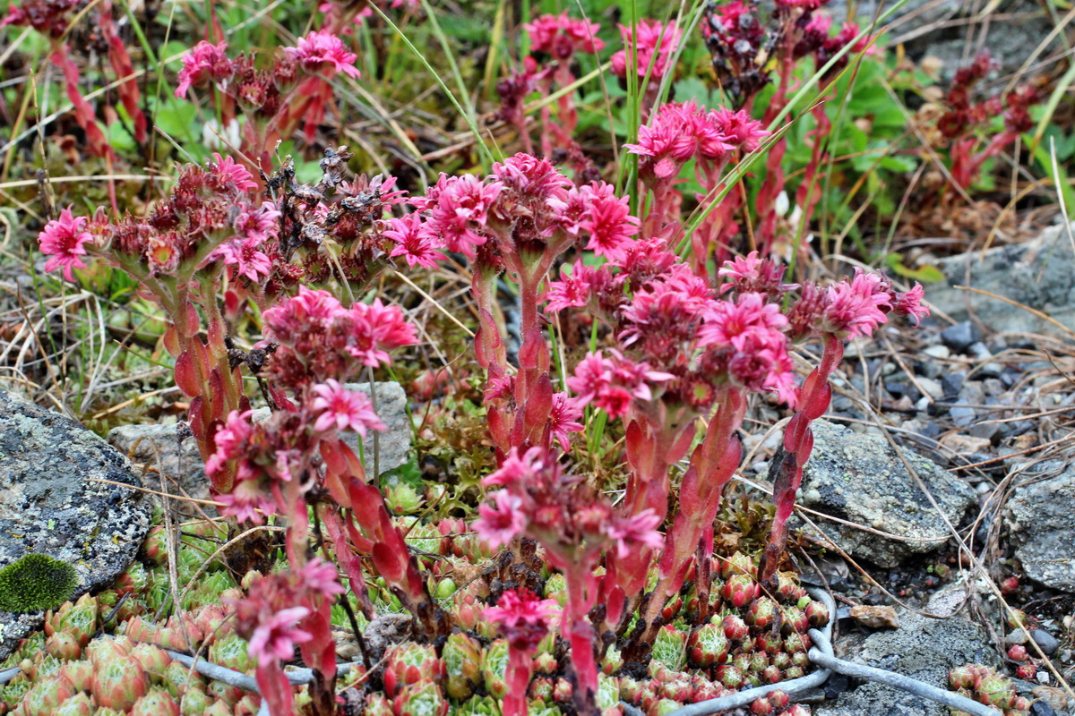 2014_07_30_00006746p_Bildgr��e �ndern