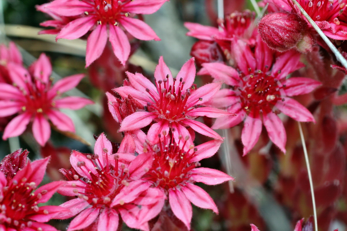 2014_07_30_00006750p_Bildgr��e �ndern