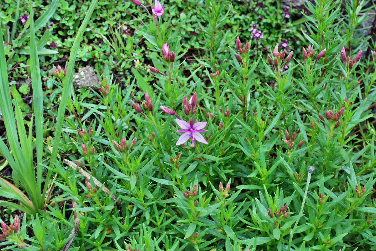 2014_07_30_00006753p_Bildgr��e �ndern